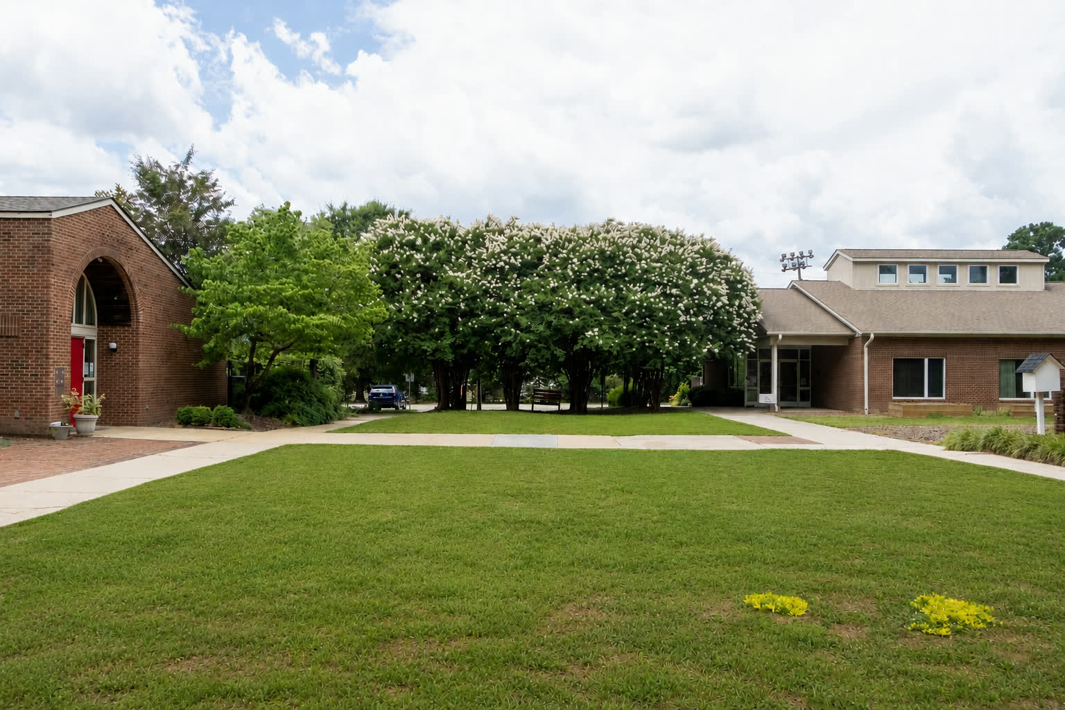 The campus green, with three separate brick buildings standing around it and paths running between them